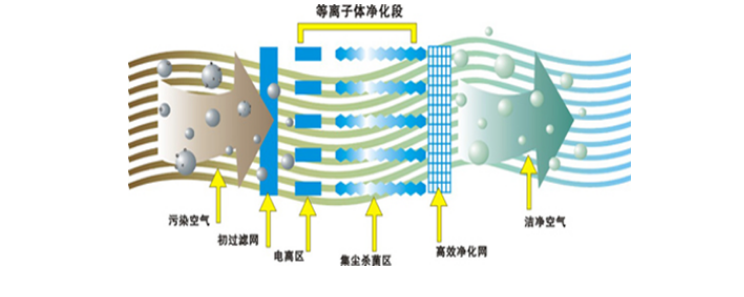 1611561017907066.png image.png