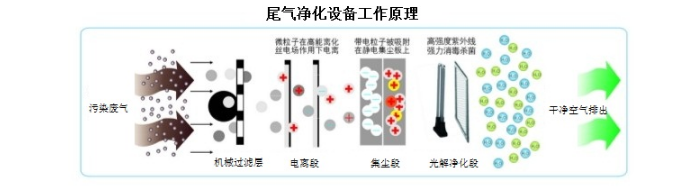 1611651035491465.png image.png