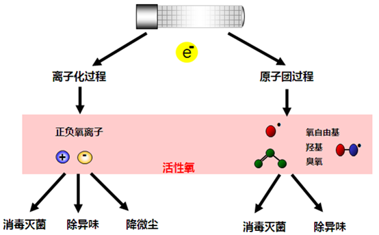 1615337624964944.png image.png