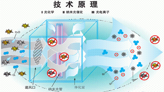 1617352716419688.png image.png